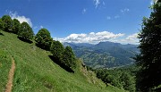 59 Oltre quei faggi secolari ...la croce!